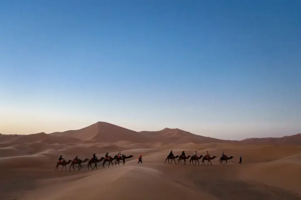 Desert Tours From Marrakech