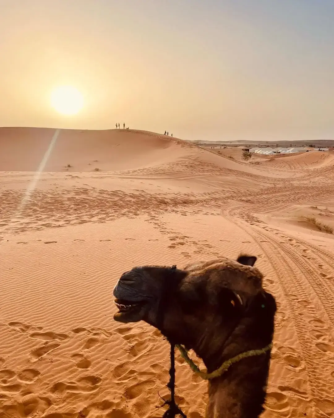 Merzouga Sandboard