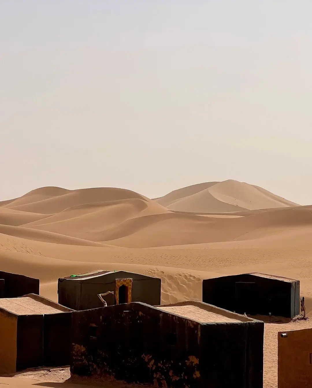 Overnight camel trekking in Merzouga