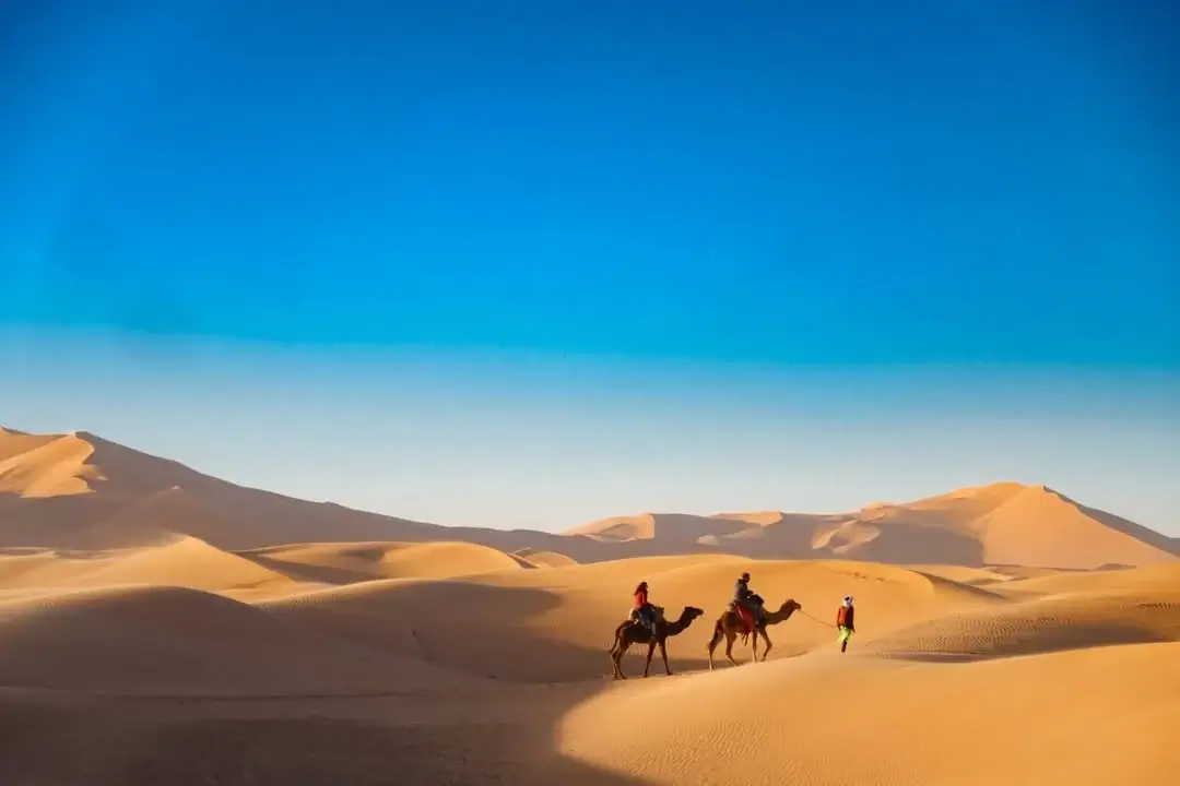 Camel caravan in the Merzouga dunes