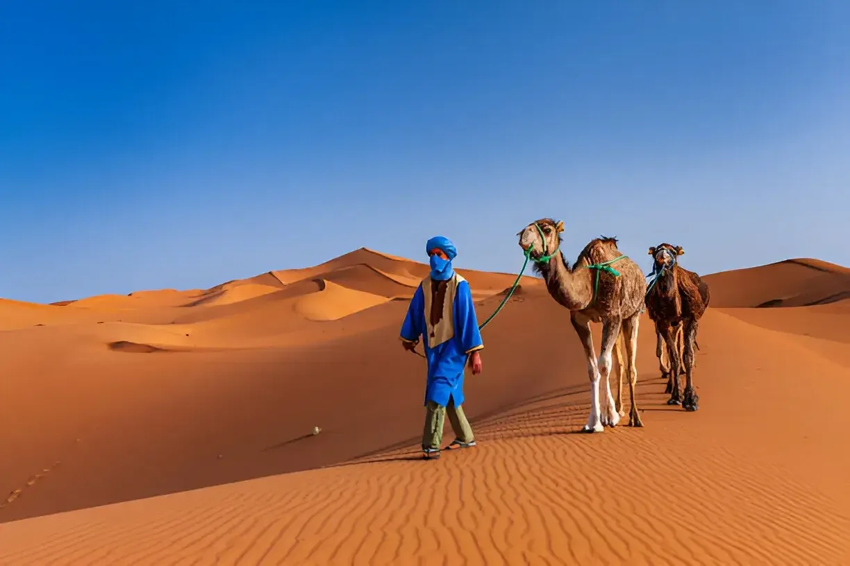 Berberführer mit Kamelen im Erg Chebbi