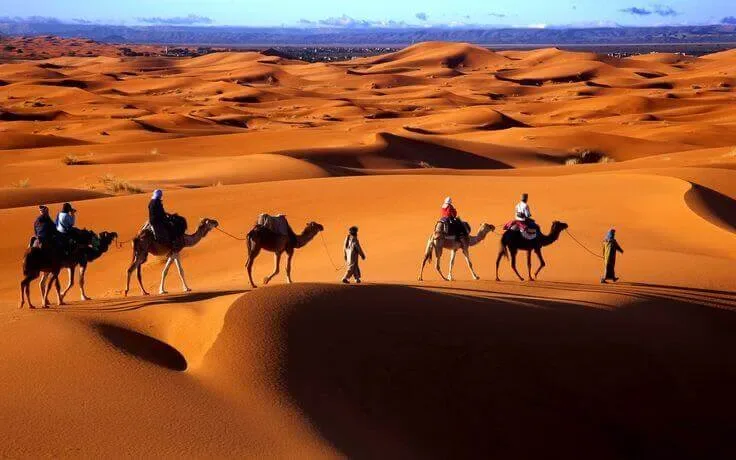 Caravana de camelos a atravessar as dunas de Merzouga