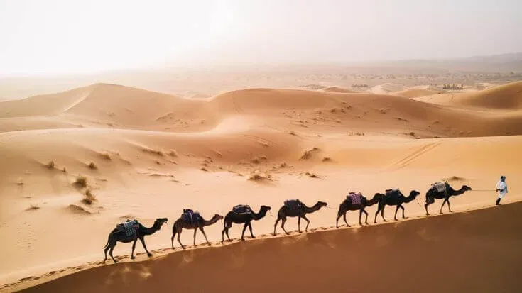 Trekking de camelo no Erg Chebbi