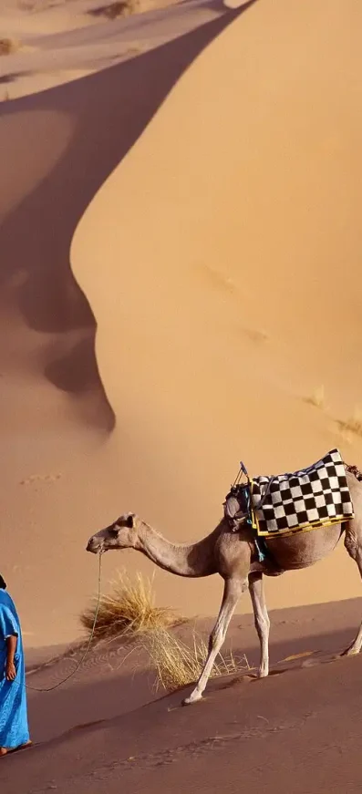 Camel riding in Merzouga sand dunes Overnight Camel ride in Merzouga