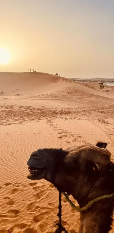 Merzouga Activities 10 Best Merzouga Activities